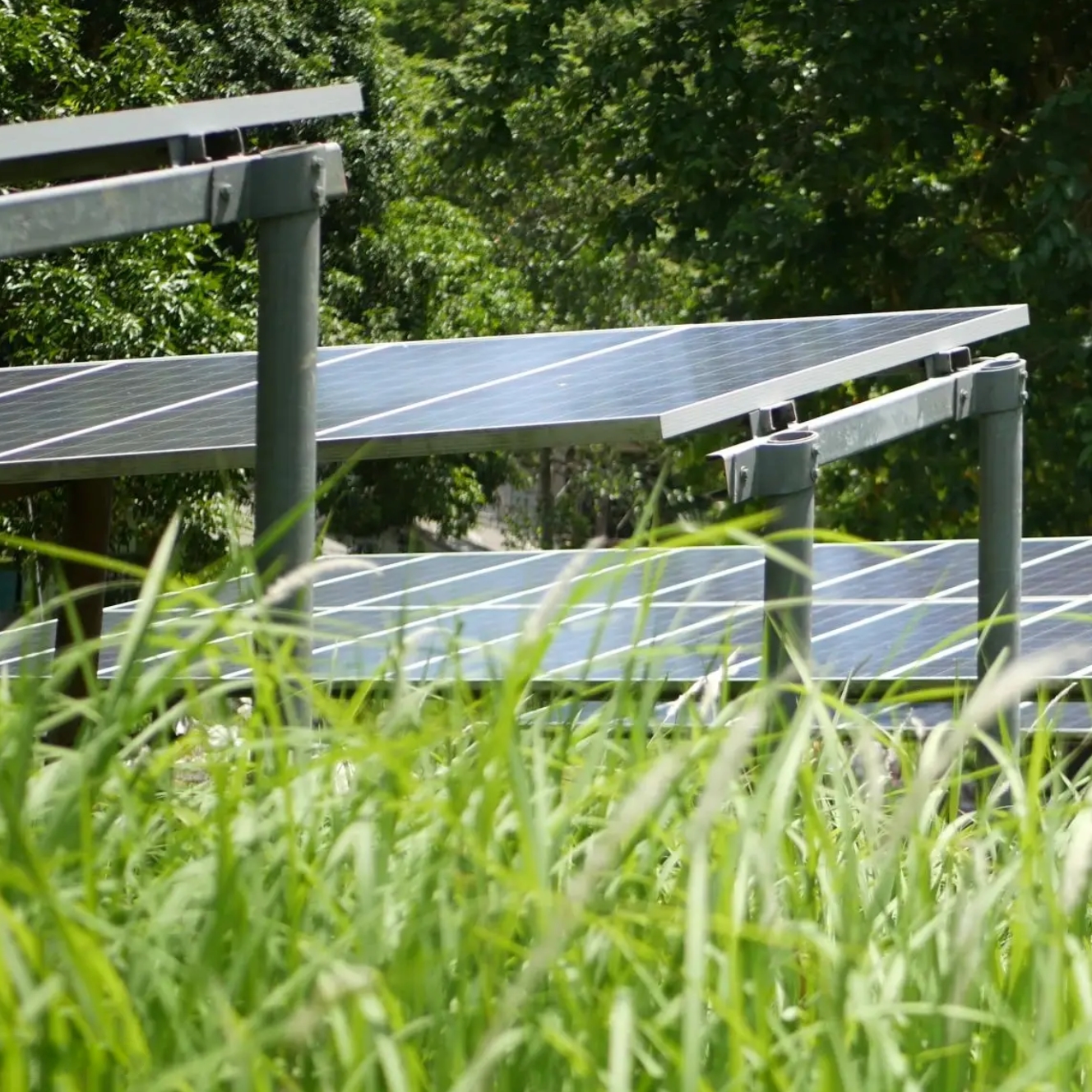 Agrovoltaica: integrar fotovoltaica en sòls agrícoles per a una producció dual eficient i sostenible